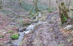 Trail Orientation Meillier Fontaine