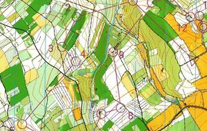 3 séances découvertes de la CO