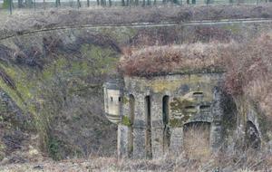 CO Moyenne Distance Fort des Ayvelles