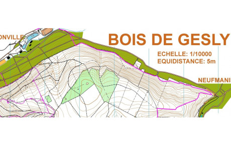 TASO 2 Trail Orientation Bois du Gesly