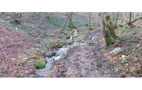 Trail Orientation Meillier Fontaine