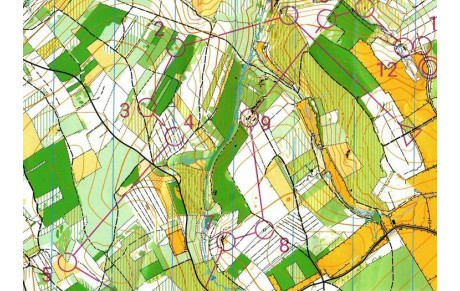 3 séances découvertes de la CO